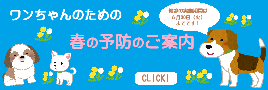 ❀春の予防のご案内❀＜わんちゃん＞